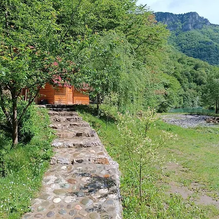 Lodge Wildas Cabins, Tara River Canyon Foca