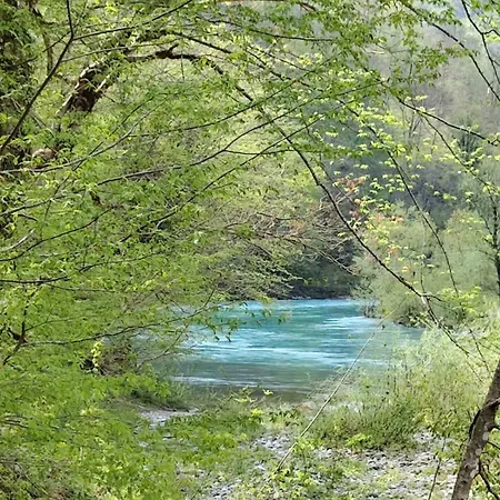 Lodge Wildas Cabins, Tara River Canyon *