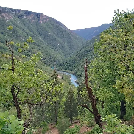 Wildas Cabins, Tara River Canyon