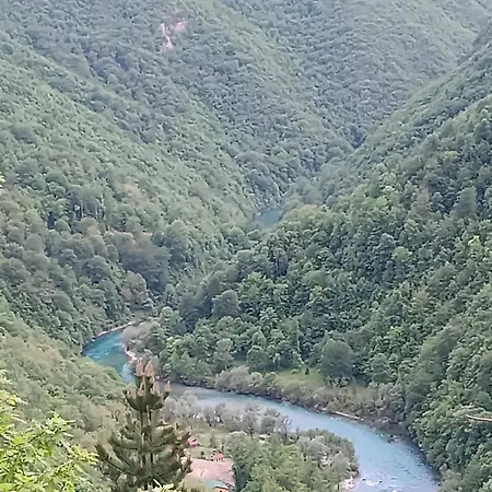 Wildas Cabins, Tara River Canyon Lodge *