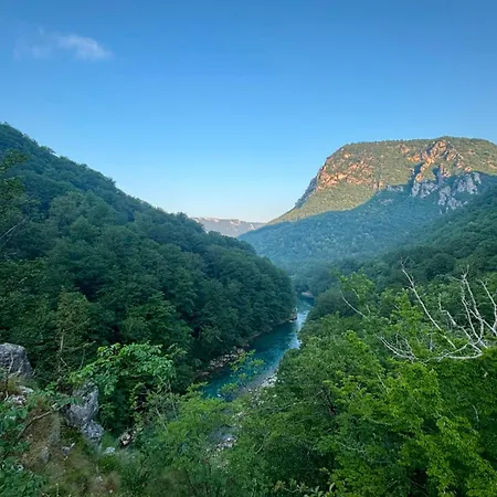 Wildas Cabins, Tara River Canyon Lodge